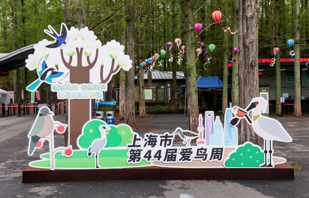 WDCM上傳圖片