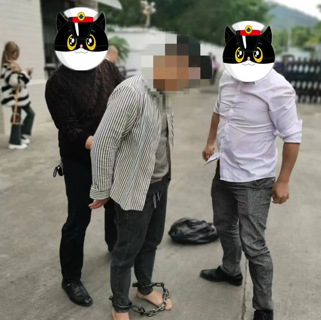圖片