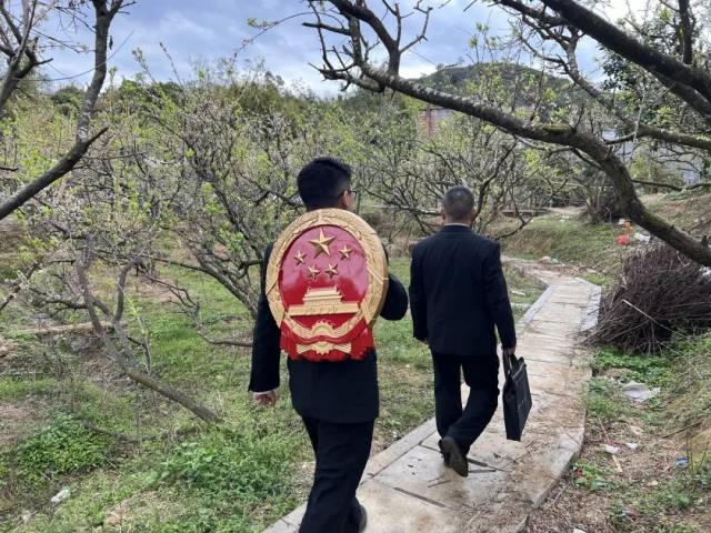 法官背上國徽到果園開展巡回審判