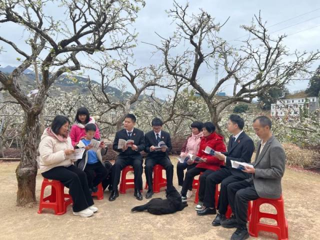 法官背上國徽到果園開展巡回審判